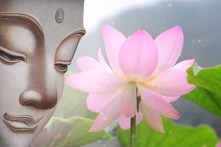 Thế giới đang âm thầm thưởng tặng những người tốt: 3 câu chuyện suy ngẫm