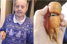 Tìm lại được nhẫn đính hôn sau 13 năm “lưu lạc” trong vườn nhà