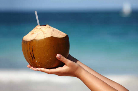 Y học cổ truyền: Vì sao nước dừa có thể phòng và hỗ trợ điều trị sốt xuất huyết?