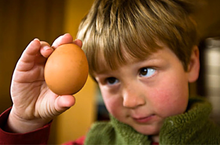 Những điều cần tránh để trứng luôn là món ăn bổ dưỡng nhất