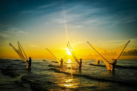 Truyện ngắn: Biển mặn