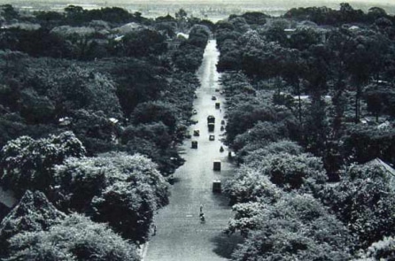 Những bức ảnh quý về Sài Gòn đầu thập niên 1950