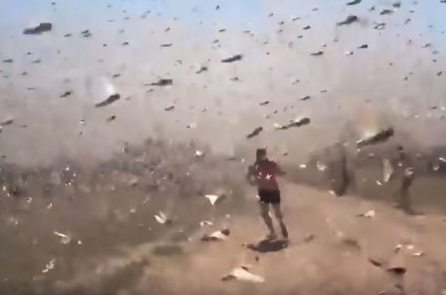 Cảnh tượng “bão châu chấu” đáng sợ tấn công miền nam nước Nga (video)