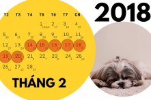 Chốt phương án nghỉ Tết Nguyên đán 2018