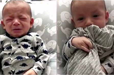 Em bé 3 tháng tuổi lập tức nín khóc khi ngửi thấy mùi của mẹ