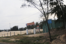 Phá rừng đặc dụng ở Phú Yên: Yêu cầu Thanh tra Chính phủ tiếp tục kiểm tra