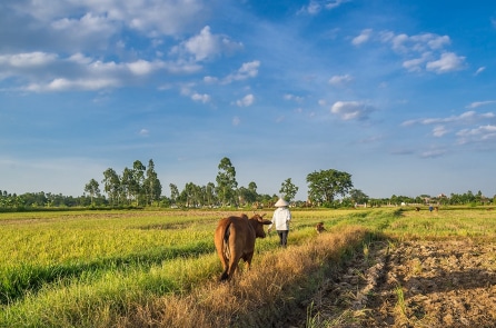 Truyện ngắn: Hai thế hệ