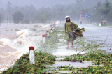 đối phó với thiên tai