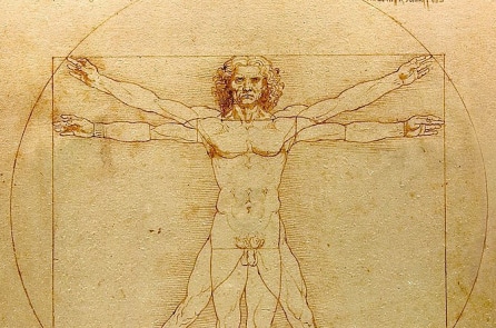 “Vitruvian Man” của Leonardo Da Vinci và tỉ lệ hoàn mỹ