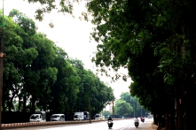 Hà Nội trồng được 60 nghìn cây xanh, phấn đấu thu ngân sách vượt 15.000 tỷ đồng