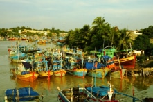 239 ngư dân bị Indonesia bắt giữ về nước an toàn