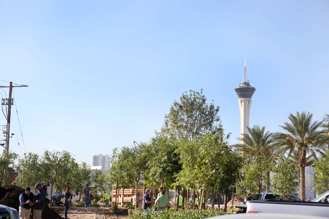 The memorial garden donated by Stone Rose Landscape is planted on East Charleston Blvd. and South Casino Center Blvd. in Las Vegas, Thursday, Oct. 5, 2017. Elizabeth Brumley Las Vegas Review-Journ ...