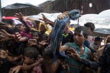 Cơ quan tị nạn của HQ: Ít nhất 180 người Rohingya được cho là đã chết