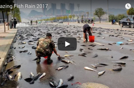 Mưa cá ở Mexico