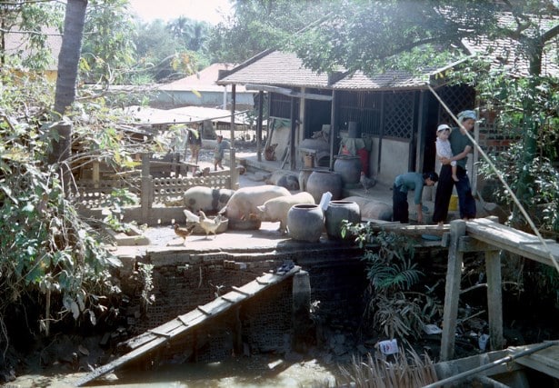 Những bức ảnh màu về làng quê Việt xưa