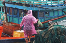 Áp thấp nhiệt đới đi sâu vào đất liền các tỉnh Nghệ An – Quảng Bình