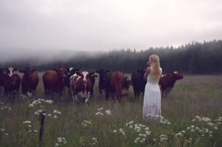 Cô gái Thụy Điển với giọng hát kỳ diệu có thể gọi đàn bò từ xa quay về