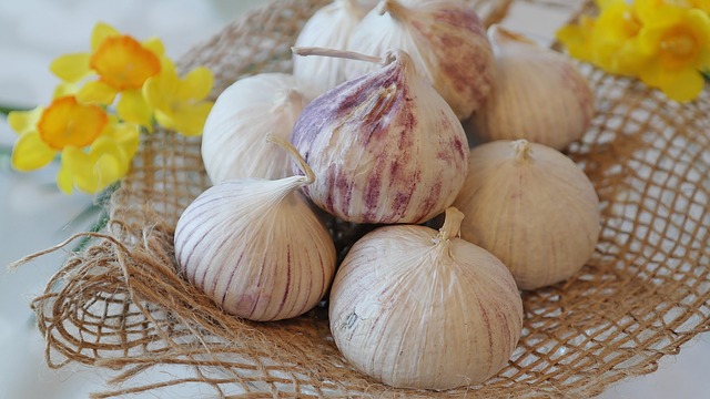 garlic 2254696 640