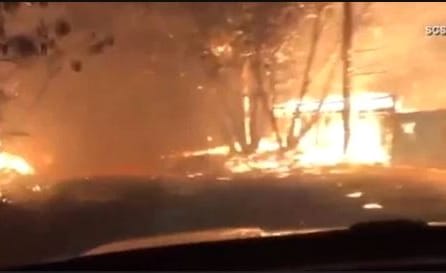 Đôi vợ chồng già bị kẹt trong đám cháy được cứu sống một cách kỳ tích