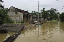 Hơn 27.600 m đê vỡ, sạt trong 7 ngày mưa lũ lớn