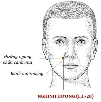 huyet nghinh huong