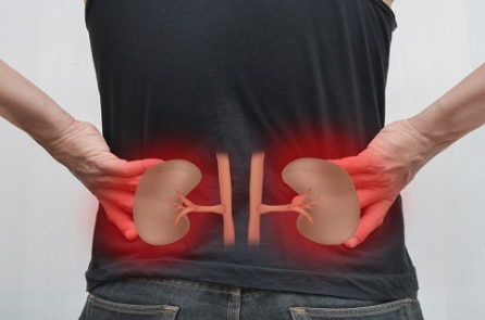 Ăn uống thế nào dễ dẫn đến bệnh sỏi thận?