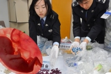 Thuốc làm từ thai nhi sản xuất tại Trung Quốc bị thu giữ lượng lớn ở Hàn Quốc