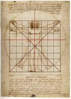 Bức Vitruvian Man của Leonardo Da Vinci: Tỉ lệ hoàn mĩ của cơ thể con người