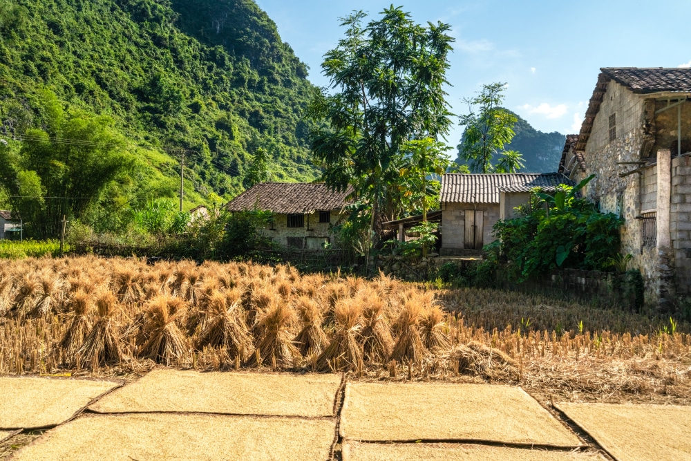 Nghề cổ đất Việt: Ngói âm dương