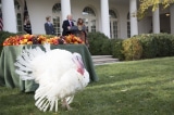 P20171121SC 0303 DJT Turkey pardon 0