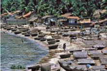 Làng quê ven biển Bình Định – Phú Yên những năm 90 (Ảnh)