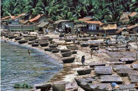 Làng quê ven biển Bình Định – Phú Yên những năm 90 (Ảnh)