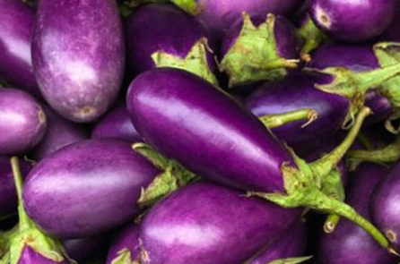 Ăn cà tím vào mùa thu tốt hơn 10 loại thuốc