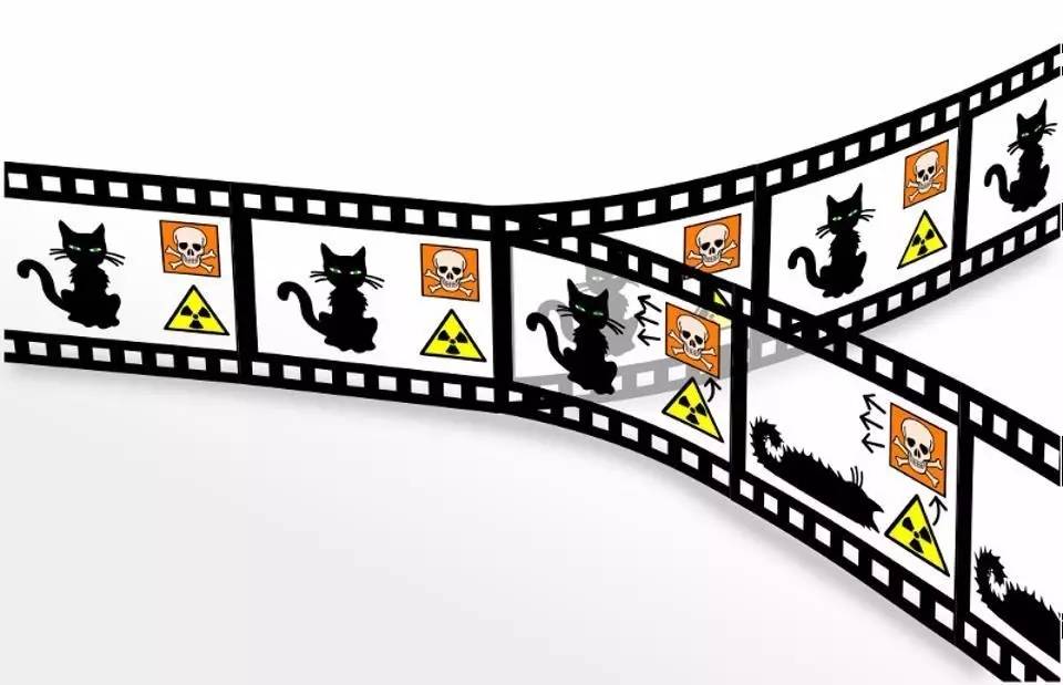 con meo Schroedingers cat film.svg