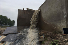 Bộ TN&MT yêu cầu làm rõ vụ doanh nghiệp xả thải trộm tại Hưng Yên