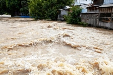 Bão Damrey giật cấp 15, các địa phương tích cực phòng chống