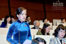 Ấn tượng Việt Nam: Tuần từ 20-26/11