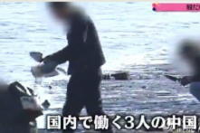 Nhặt hàu tại Nhật, du khách Trung Quốc để lại hơn 100 tấn vỏ