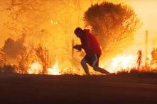 Người đàn ông liều mình cứu chú thỏ trong bão lửa ở California