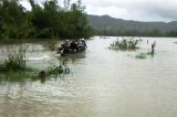 anh lu Đồng Xuân phu yen