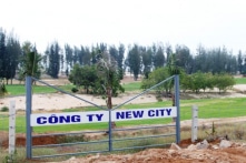 Vụ phá rừng Phú Yên: Yêu cầu chuyển hồ sơ sang UBKTTU