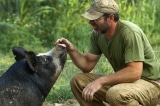 Hà Nội: Công chiếu phim “Con lợn cuối cùng” (The Last Pig) (20/1)