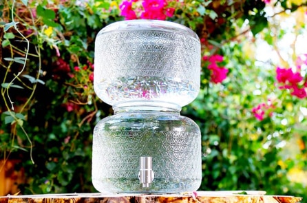 “Nước thô” thu hút sự quan tâm đặc biệt của các chuyên gia sức khỏe