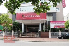 Agribank rao bán hàng trăm tỷ đồng tài sản bảo đảm của Tân Hoàng Minh