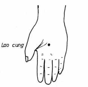 huyet lao cung