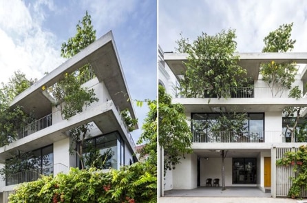 Ngôi nhà được thiết kế với cây mọc xuyên qua các tầng của KTS Võ Trọng Nghĩa