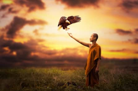 Nguyên nhân người làm việc thiện vẫn không được phúc báo