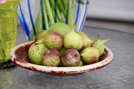 Hiệu quả dinh dưỡng của quả sung hay còn gọi “quả thần thánh”