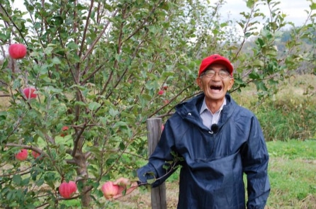 Người nông dân mất 11 năm để trồng được một kỳ tích làm chấn động Nhật Bản