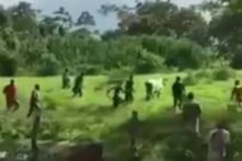 Venezuela: Người dân thiếu đói, phải giết gia súc, cướp bóc thực phẩm (video)
